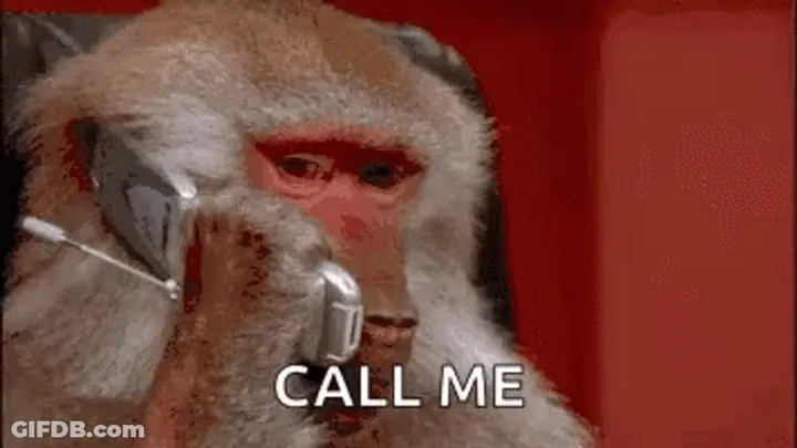 A monkey on a phone saying &ldquo;Call me&rdquo;